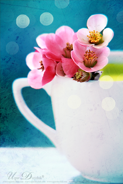 Promise_I__ll_be_kind_by_colorrrs.jpg
